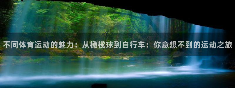 凯发官方正版app娱乐平台:不同体育运动的魅力:从橄榄球到自