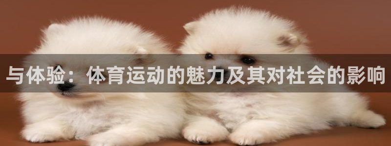 凯发官方正版app集团简介:与体验:体育运动的魅力及其对社会