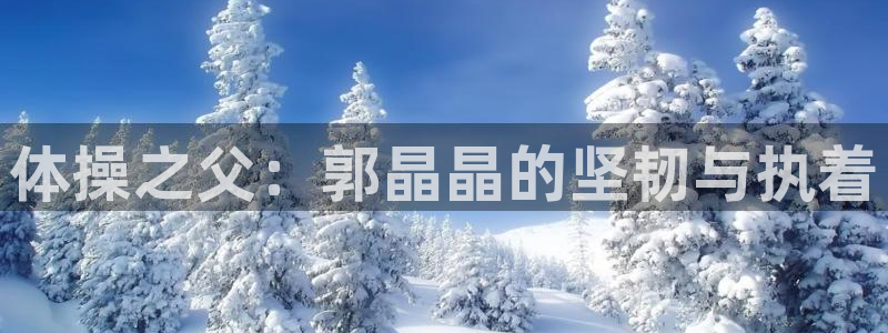 注册凯发官方正版app:体操之父:郭晶晶的坚韧与执着