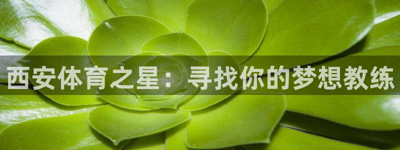 凯发官方正版app集团官网首页网址:西安体育之星:寻找你的梦